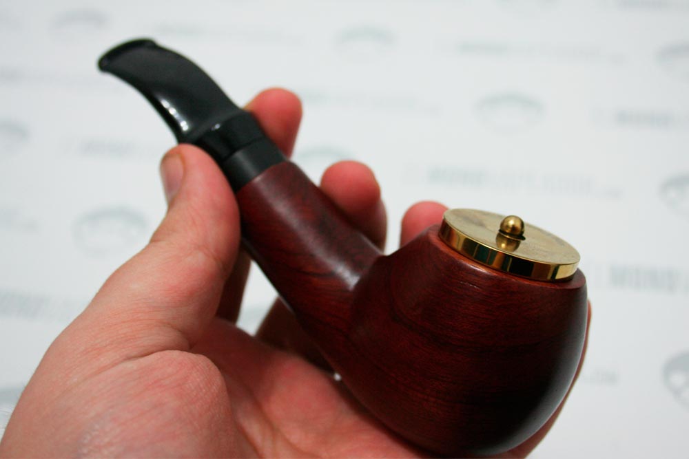 e-pipa King