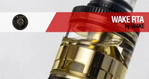 Wake Mod Co LITTLEFOOT 60w kit / LUJO DESDE LOS CREADORES DE DOTMOD