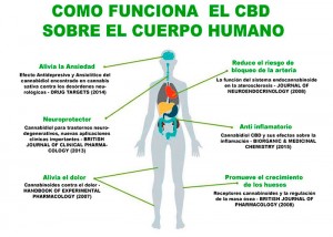 cbd-salud