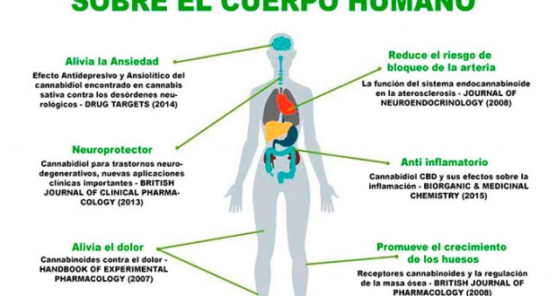 cbd-salud