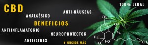 cbd-siemprevapor