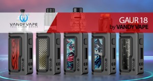 TODOTERRENO… Vandy Vape GAUR 18 x SMM / revisión